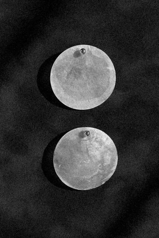 Two shell discs on cloth